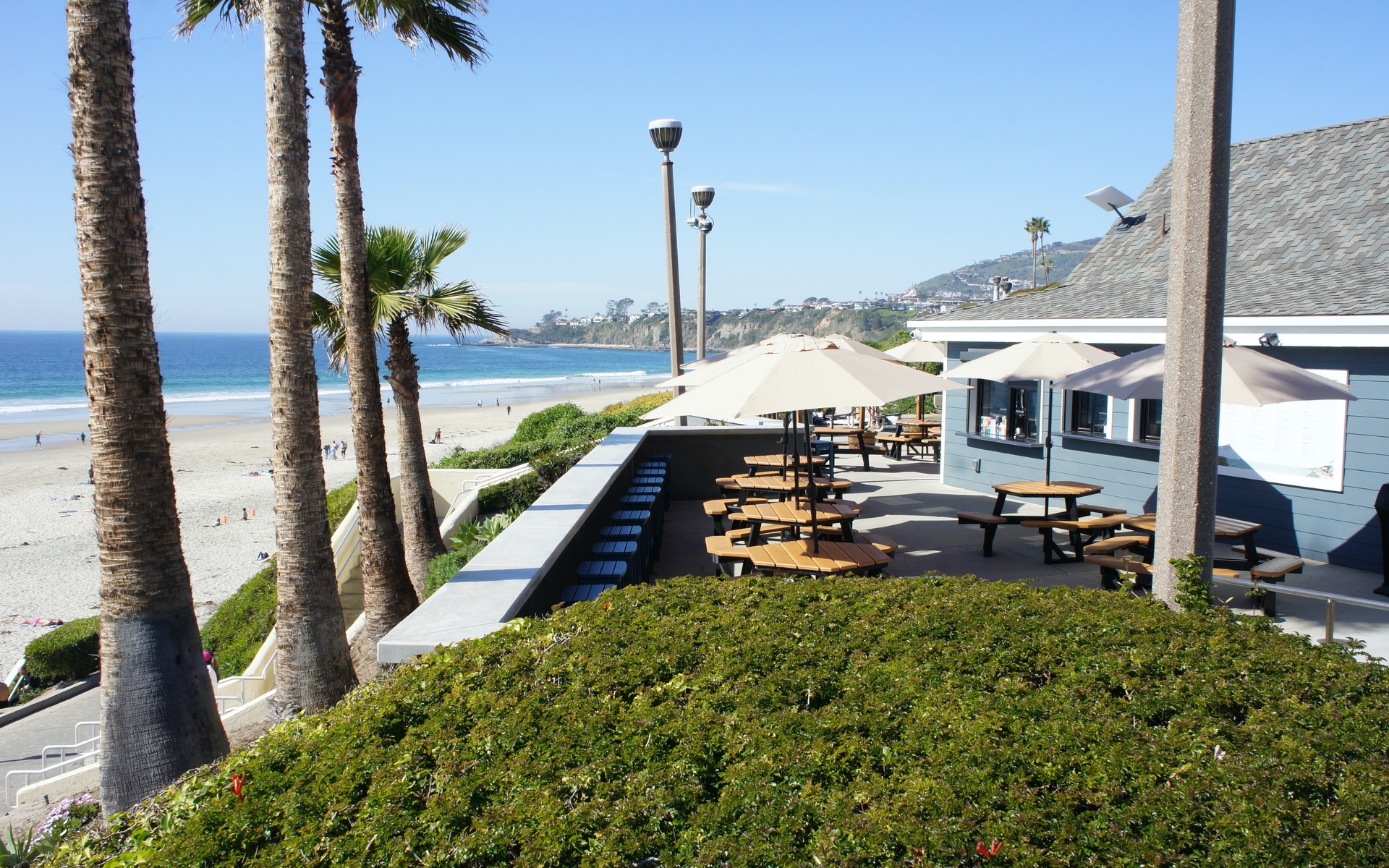 cafe