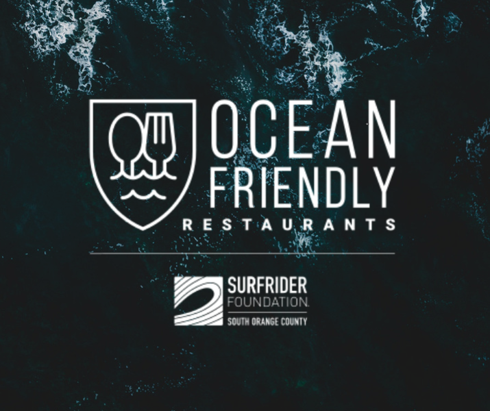 Surfrider foundation